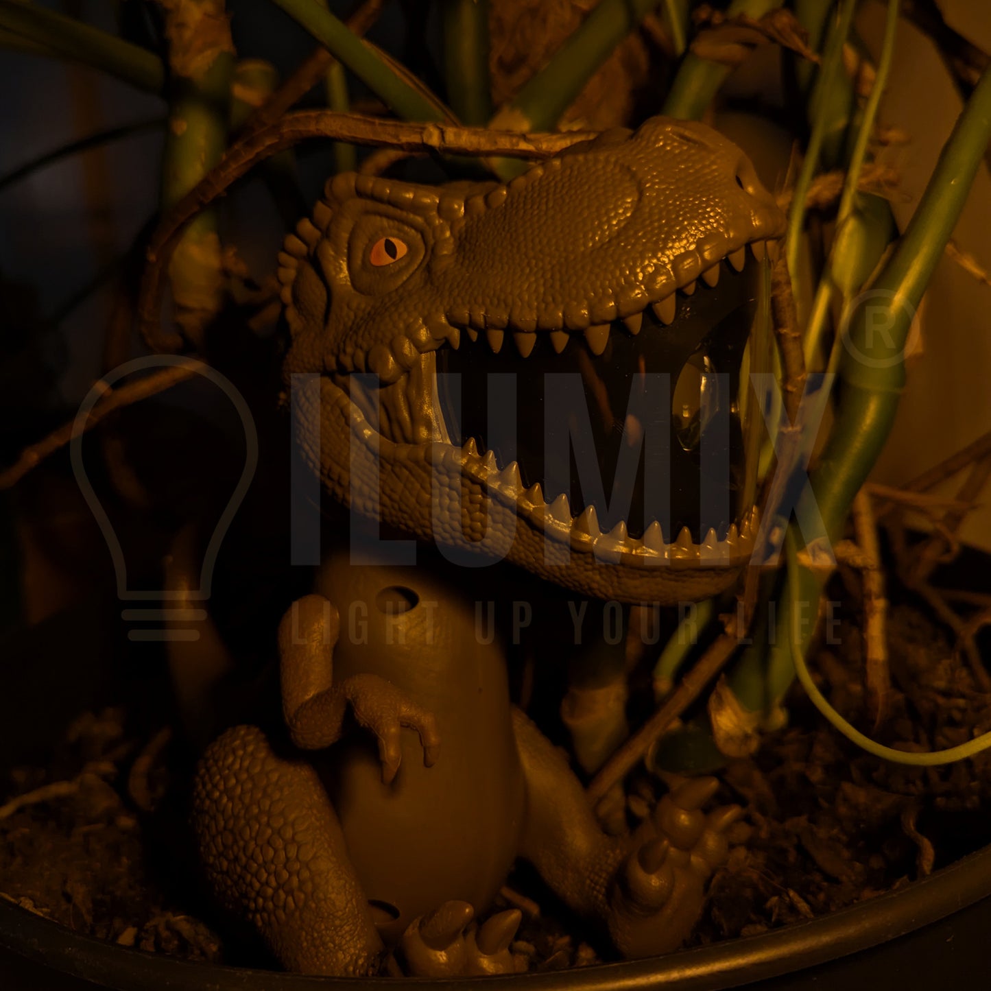 DINO PROJECTOR