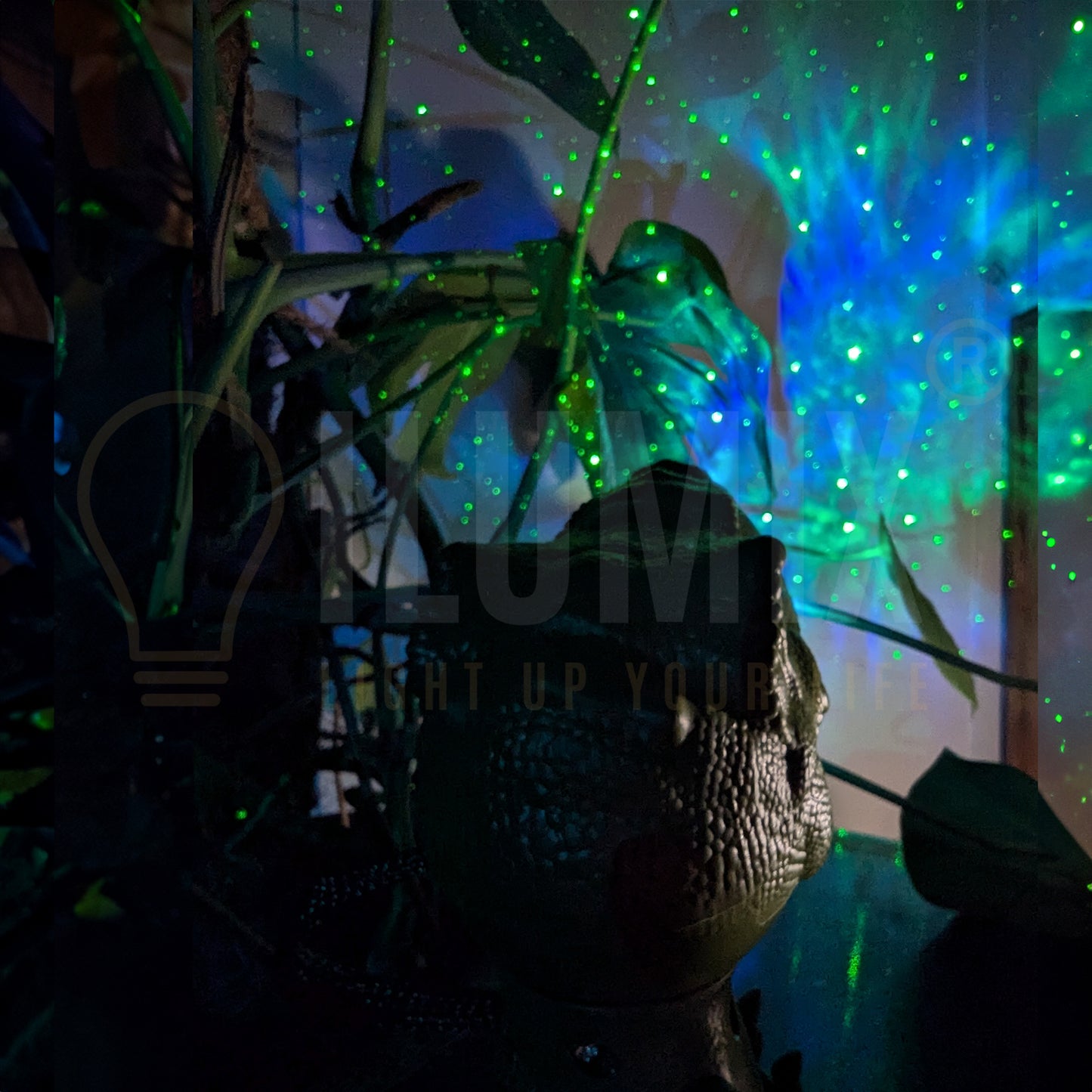 DINO PROJECTOR