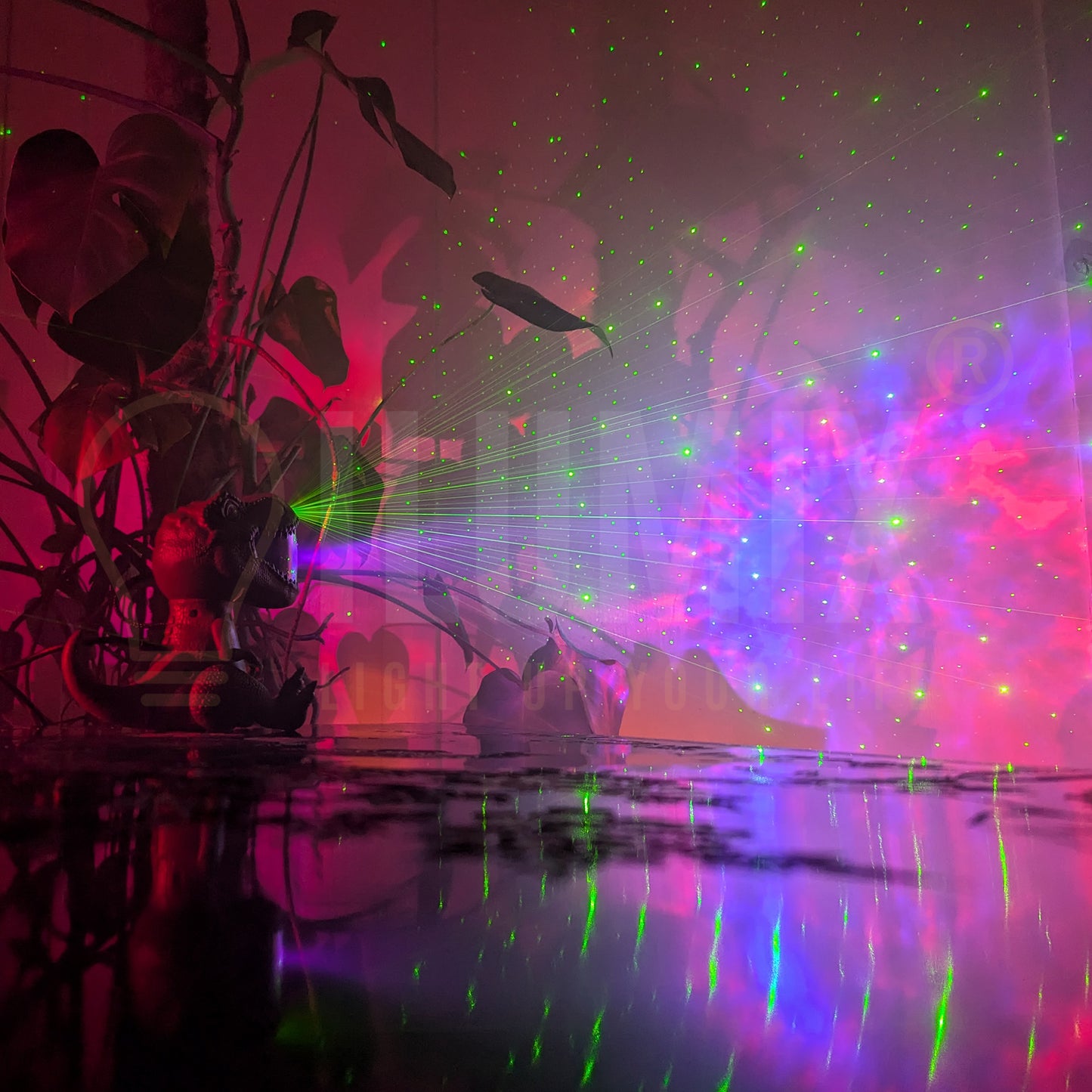DINO PROJECTOR